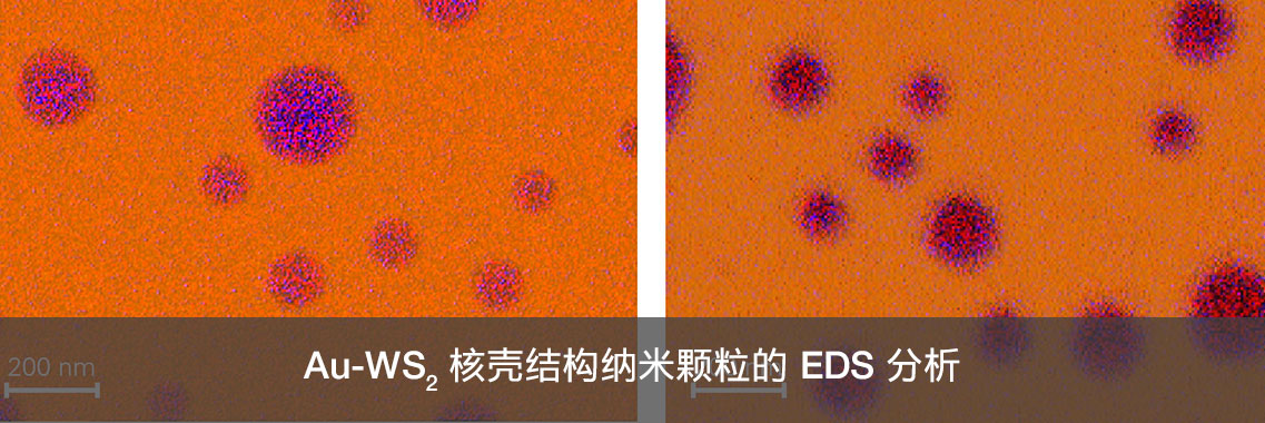 Au-WS2 核壳结构纳米颗粒的 EDS 分析