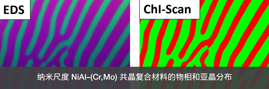 纳米尺度 NiAl–(Cr,Mo) 共晶复合材料的物相和亚晶分布